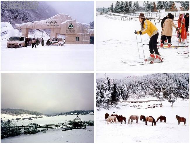 武隆仙女山風景區(qū)