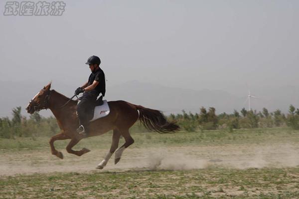 老手教你騎馬技巧