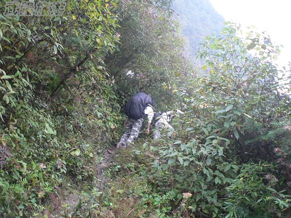 仙女山夢(mèng)幻谷徒步指南