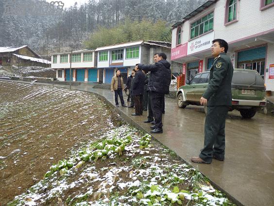 白馬鎮(zhèn)邀后勤工程學(xué)院專家編制旅游發(fā)展計(jì)劃