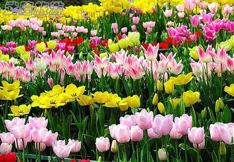 學(xué)生自助游省錢大招