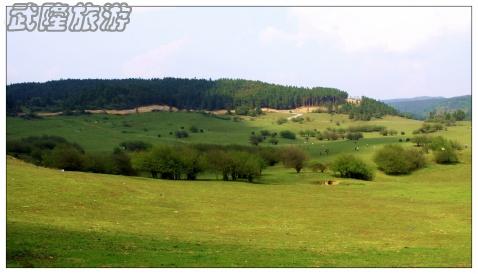 武隆，人潮涌動(dòng)處的自然風(fēng)物