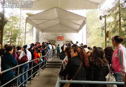 清明踏青旅游升溫 武隆各景區(qū)人氣爆滿