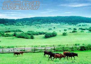 重慶武隆有哪些旅游景點？