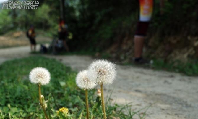 騎行白馬夢幻谷