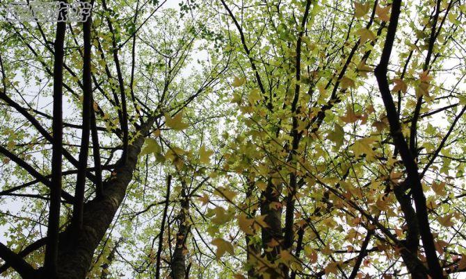 騎行白馬夢幻谷