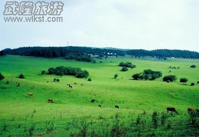 璧山到武隆自駕游線路