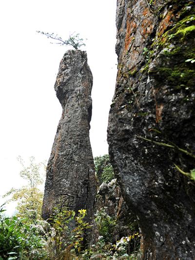 武隆縣白云鄉(xiāng)