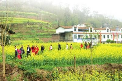 花香漫在書院外