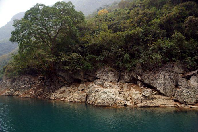 蒼勁樹(shù)根千姿百態(tài)