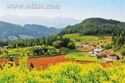 春日風情。