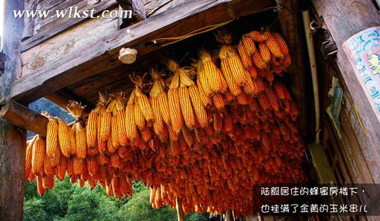 爸爸去哪兒拍攝地&mdash;&mdash;重慶武隆天坑村