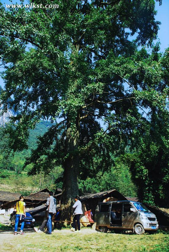 爸爸去哪兒拍攝地&mdash;&mdash;重慶武隆天坑村