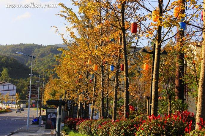  秋天的童話&mdash;&mdash;風(fēng)過(guò)武隆仙女山小鎮(zhèn) 