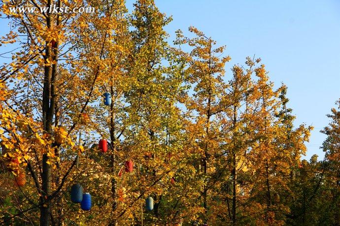 秋天的童話&mdash;&mdash;風(fēng)過(guò)武隆仙女山小鎮(zhèn) 