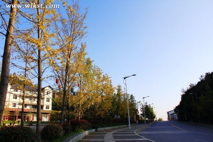  秋天的童話&mdash;&mdash;風(fēng)過(guò)武隆仙女山小鎮(zhèn) 