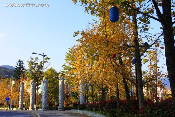  秋天的童話&mdash;&mdash;風(fēng)過(guò)武隆仙女山小鎮(zhèn) 