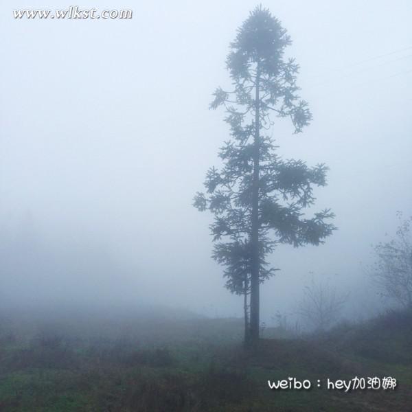 烏木、化石隨地?fù)?，重慶無人峽谷大冒險(xiǎn)（完整版）&mdash;&mdash;【女漢紙武隆秘境探險(xiǎn)記】第十四節(jié)