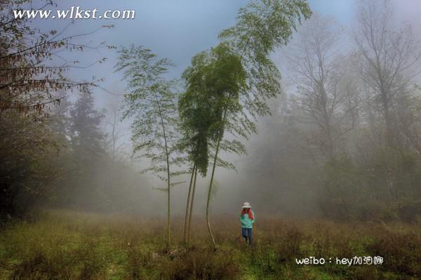 烏木、化石隨地?fù)欤貞c無人峽谷大冒險(xiǎn)（完整版）&mdash;&mdash;【女漢紙武隆秘境探險(xiǎn)記】第十四節(jié)