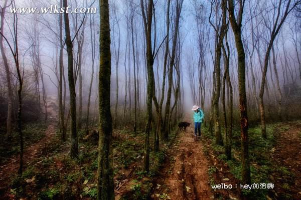 烏木、化石隨地?fù)?，重慶無人峽谷大冒險(xiǎn)（完整版）&mdash;&mdash;【女漢紙武隆秘境探險(xiǎn)記】第十四節(jié)
