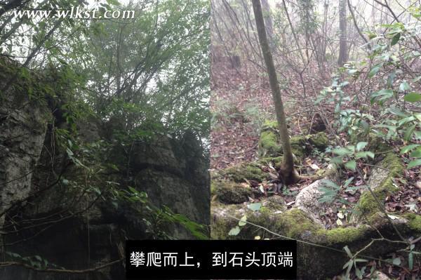 烏木、化石隨地?fù)?，重慶無人峽谷大冒險(xiǎn)（完整版）&mdash;&mdash;【女漢紙武隆秘境探險(xiǎn)記】第十四節(jié)