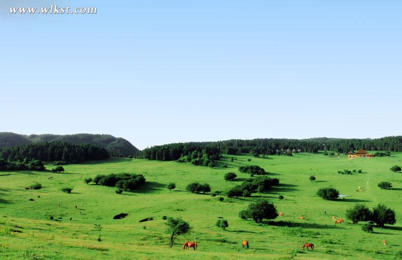 三八節(jié)女神專屬特權(quán) 當(dāng)天游武隆仙女山免費