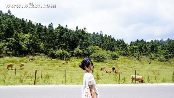 重慶武隆仙女山-結(jié)婚三周年
