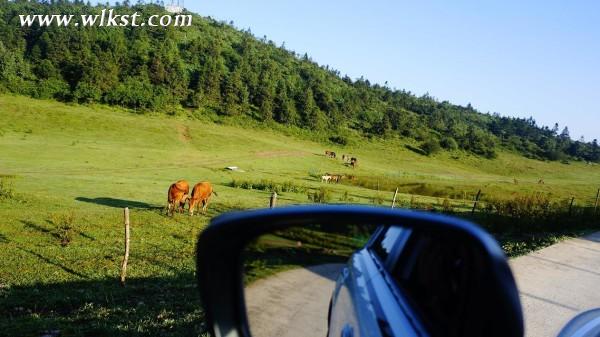重慶武隆仙女山-結(jié)婚三周年