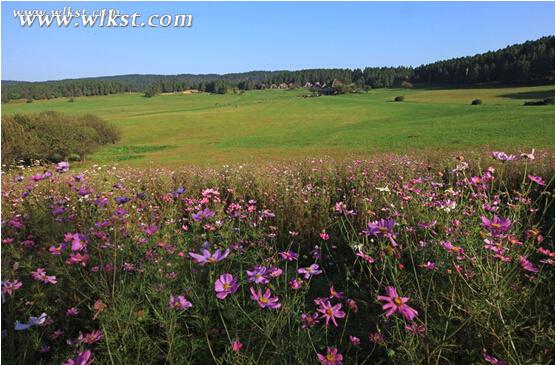 穹頂之下仍有凈土 3月游武隆景區(qū)立省270元