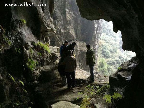 金鷹卡通衛(wèi)視《童趣大調(diào)查》深入武隆 探尋黑葉猴蹤跡