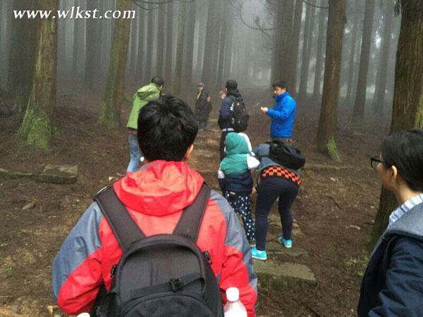 金鷹卡通衛(wèi)視《童趣大調(diào)查》深入武隆 探尋黑葉猴蹤跡