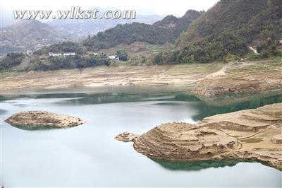 圖為&ldquo;烏龜追鯉魚&rdquo;奇觀。