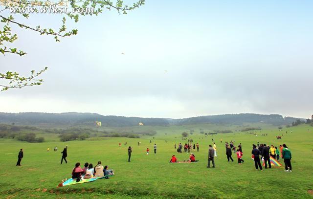 往年仙女山國際風(fēng)箏放飛季現(xiàn)場