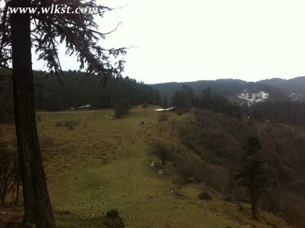 你好，2015。&mdash;&mdash;仙女山草原外圍&ldquo;迷路一日游&rdquo;