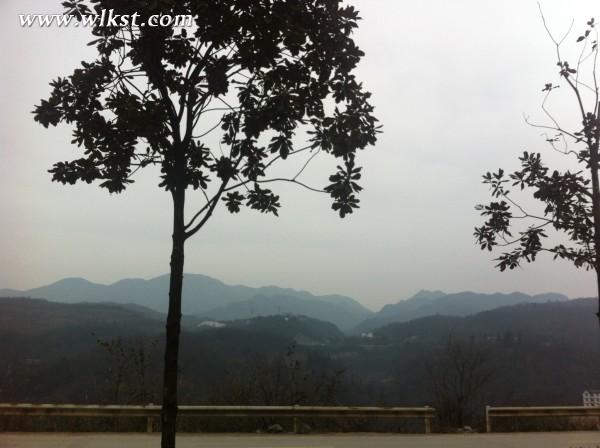 你好，2015。&mdash;&mdash;仙女山草原外圍&ldquo;迷路一日游&rdquo;