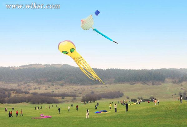 四月踏青出游最浪漫！掃武隆景區(qū)微信免費(fèi)游仙女山