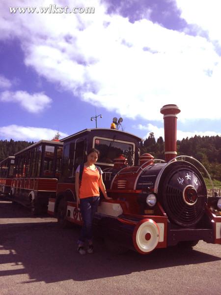 如果我是向日葵-你們就是我的陽光（重慶武?。? width=