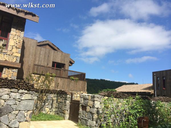 如果我是向日葵-你們就是我的陽光（重慶武?。? width=