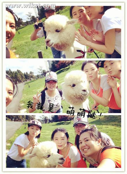 如果我是向日葵-你們就是我的陽光（重慶武?。? width=