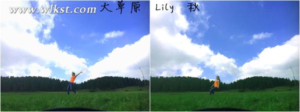 如果我是向日葵-你們就是我的陽光（重慶武?。? width=