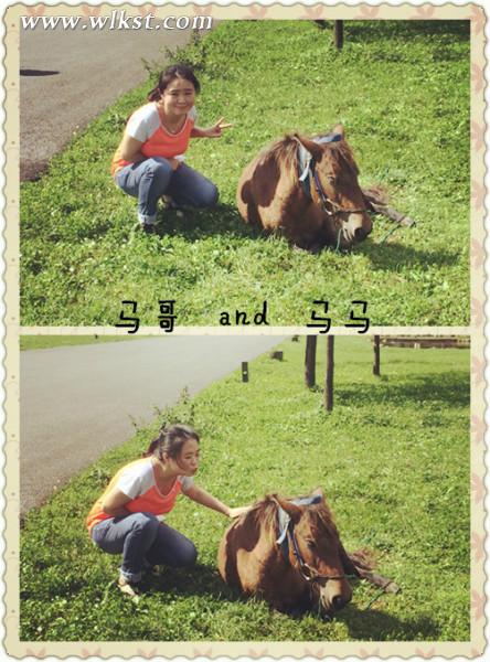 如果我是向日葵-你們就是我的陽光（重慶武?。? width=