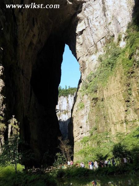 如果我是向日葵-你們就是我的陽光（重慶武?。? width=