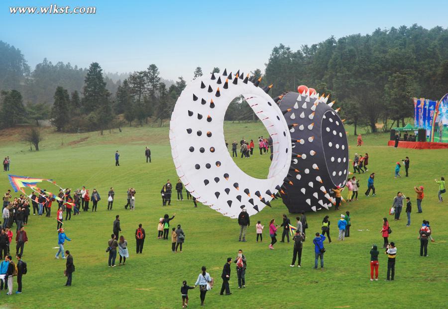 仙女山國(guó)際風(fēng)箏放飛季 4月4日開(kāi)幕 6000米風(fēng)箏來(lái)啦！