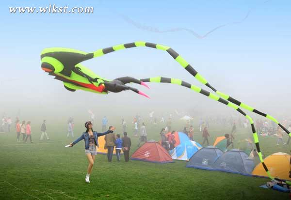 2015仙女山風(fēng)箏季開幕式特技風(fēng)箏表演