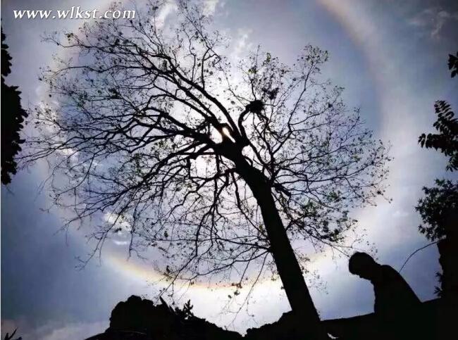 武隆仙女山驚現(xiàn)日暈天象奇觀