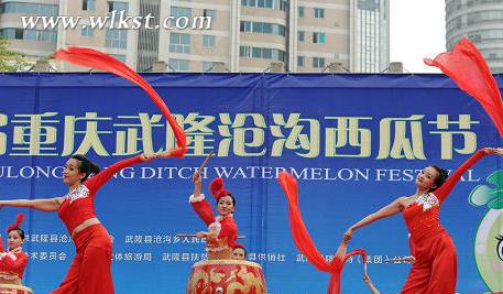 往屆武隆滄溝西瓜節(jié)開幕式