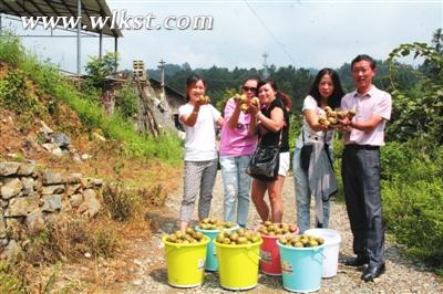 游客享受采摘的喜悅