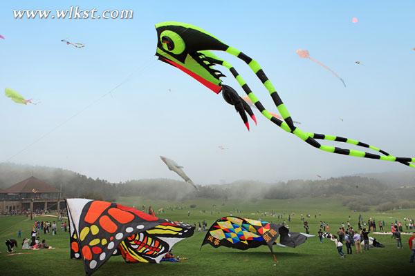 仙女山大學(xué)生國(guó)際風(fēng)箏節(jié), 火熱報(bào)名中&hellip;.