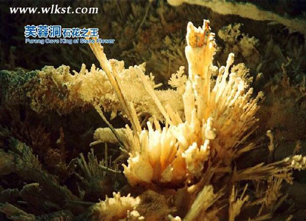 旅行狂人老貓說自駕之十七：芙蓉洞