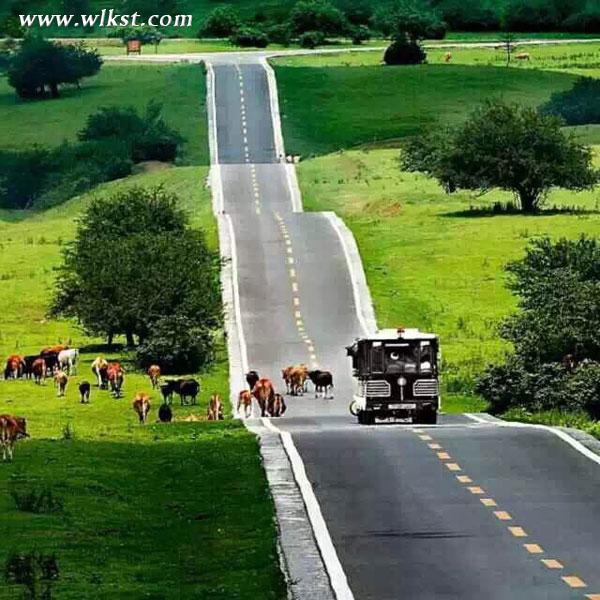 旅行狂人老貓說(shuō)自駕之十五：仙女山